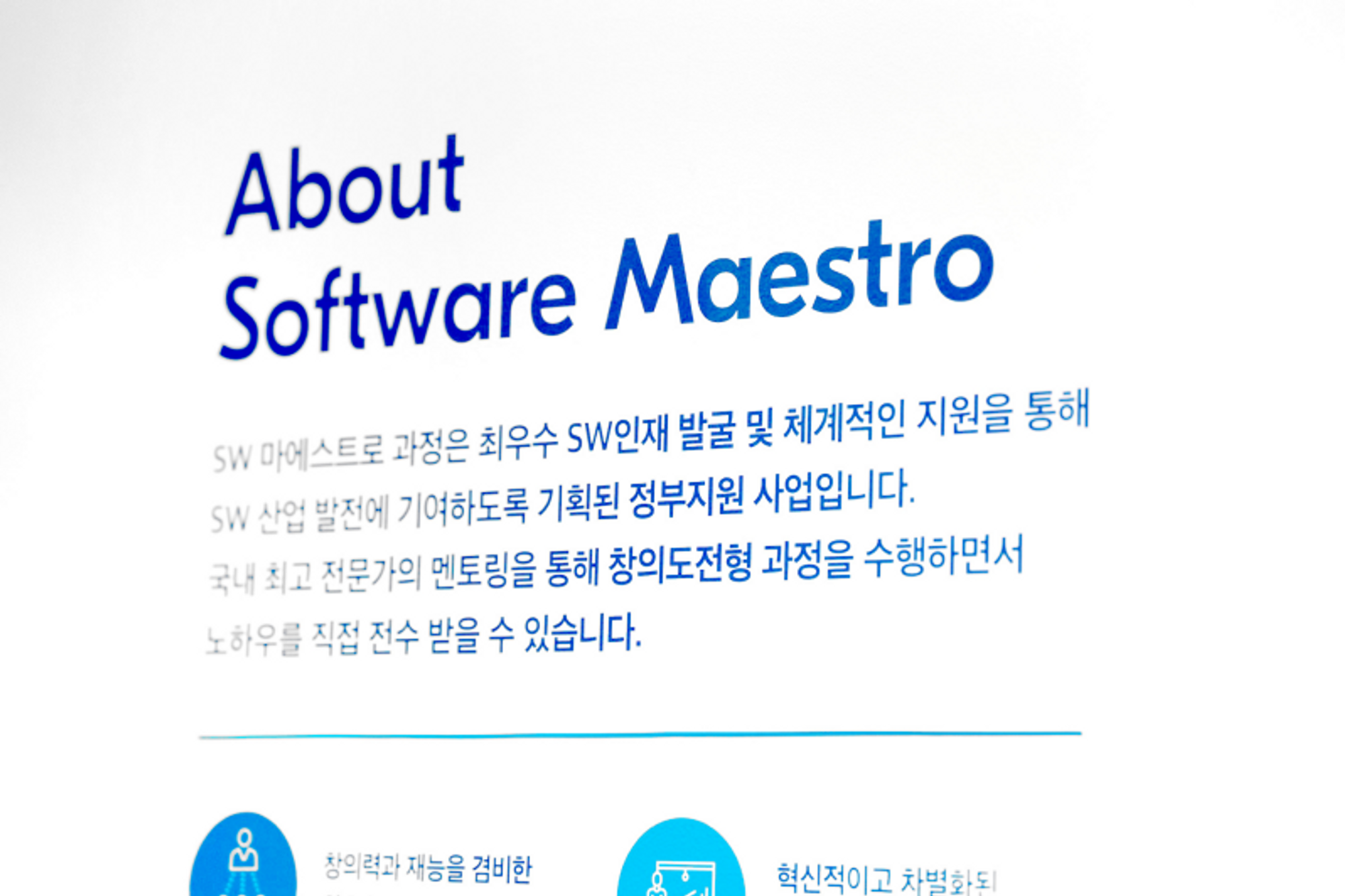 Job competency assessment, enterprise coding test, multi-faceted assessment, real-time monitoring system, SW maestro