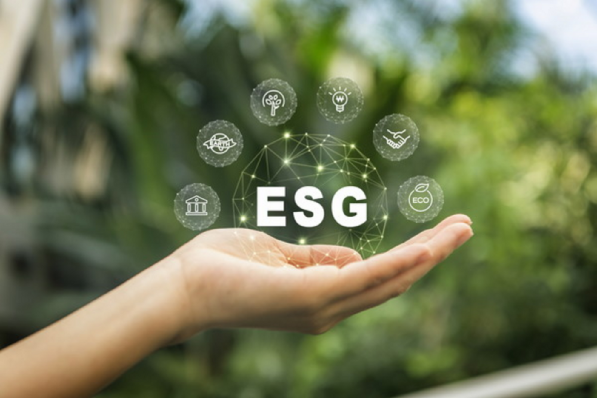 ESG, ESG management, ESG digital transformation, digital transformation, twin transformation