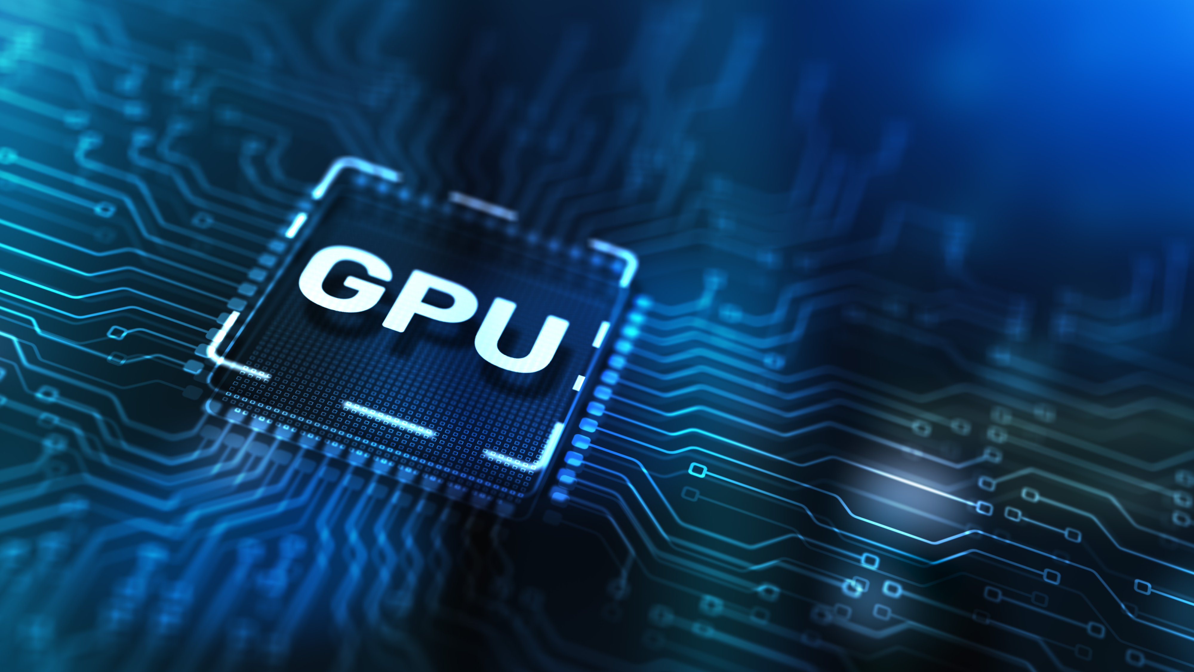 GPU 서버, CPU, NPU, 클라우드 서비스, AI 교육